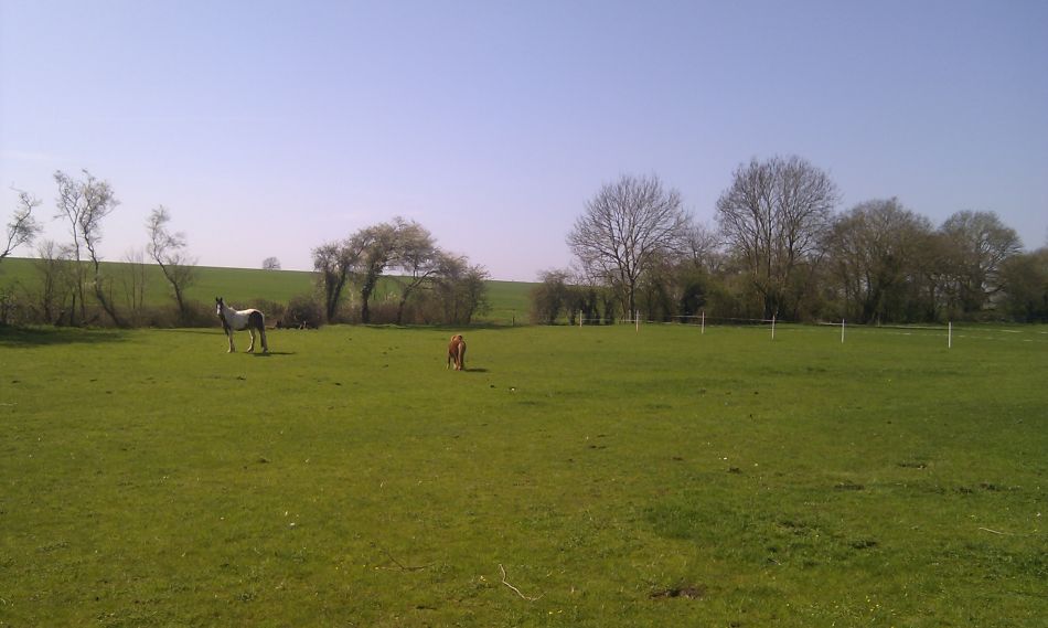 2018-04-19 04 South Elmhams.jpg