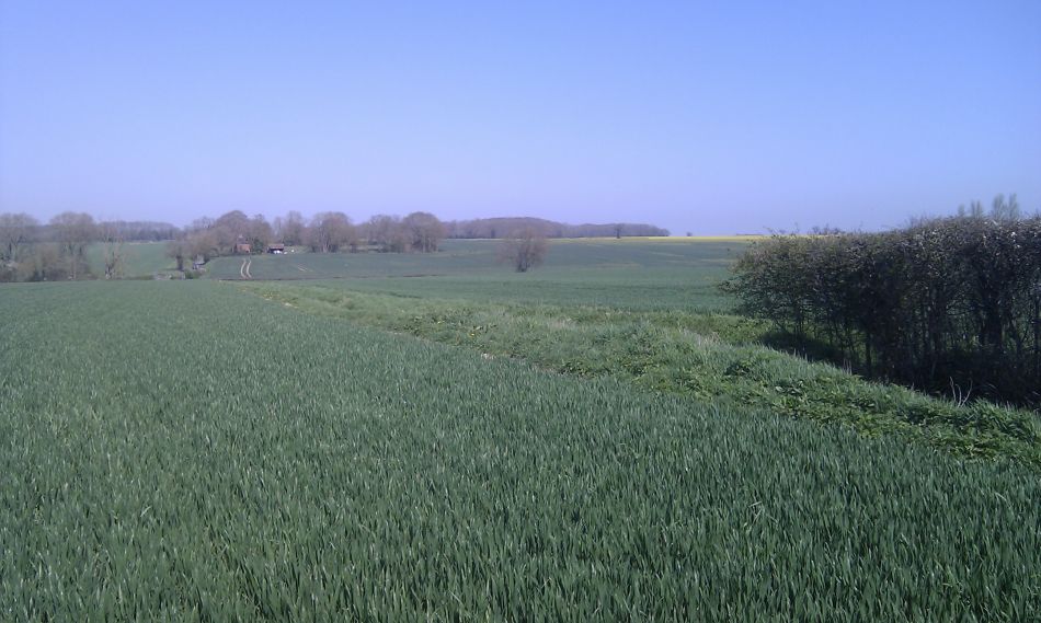 2018-04-19 05 South Elmhams.jpg