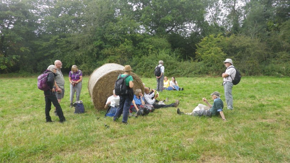 2019-08-18 04 Rumburgh Spexhall Wissett.jpg