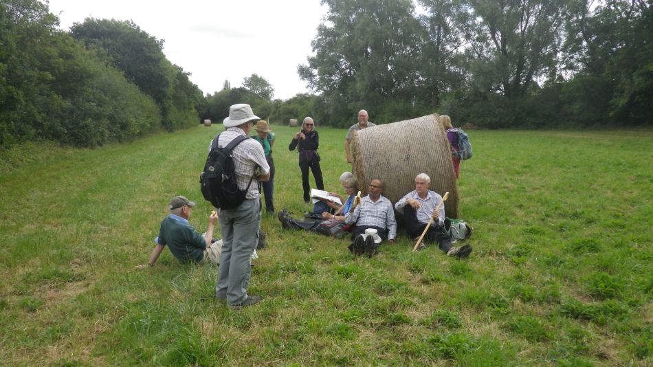 2019-08-18 05 Rumburgh Spexhall Wissett.jpg