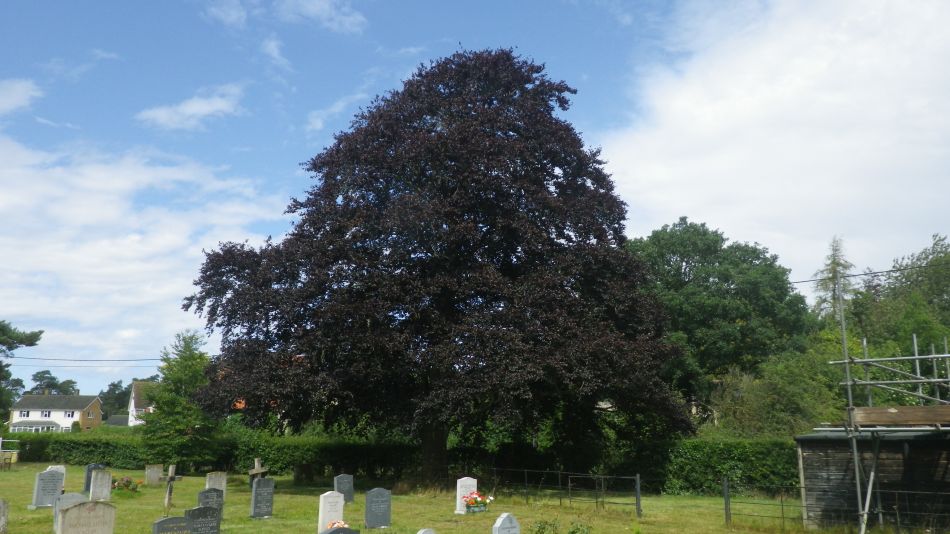 2019-08-18 13 Rumburgh Spexhall Wissett.jpg