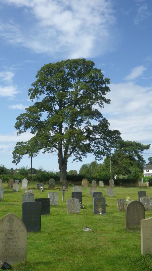 2019-08-18 14 Rumburgh Spexhall Wissett.jpg