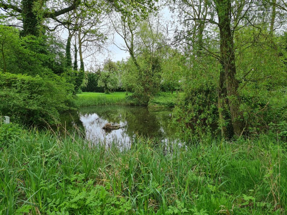 2023-05-14 06 Rumburgh.jpg