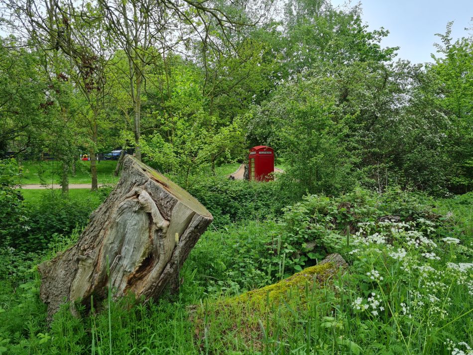 2023-05-14 07 Rumburgh.jpg