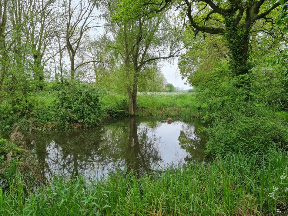 2023-05-14 08 Rumburgh.jpg