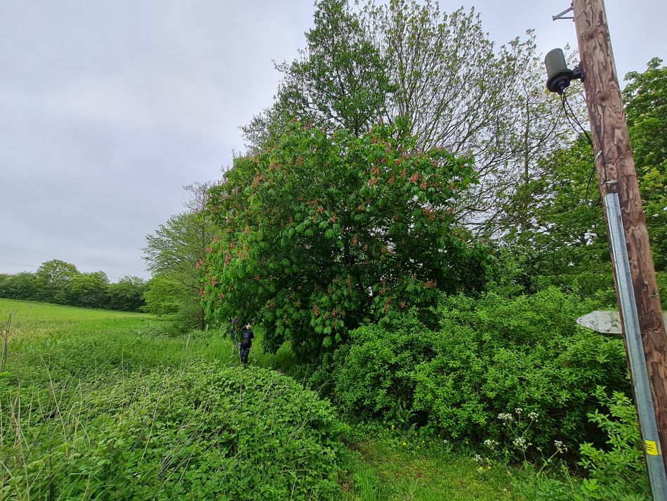 2023-05-14 10 Rumburgh.jpg