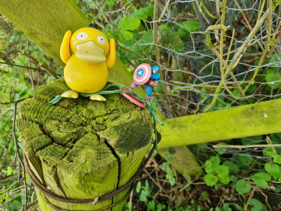 2023-05-14 15 Rumburgh.jpg