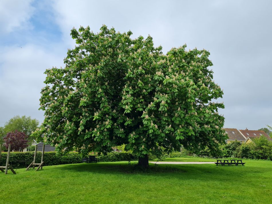 2023-05-14 16 Rumburgh.jpg