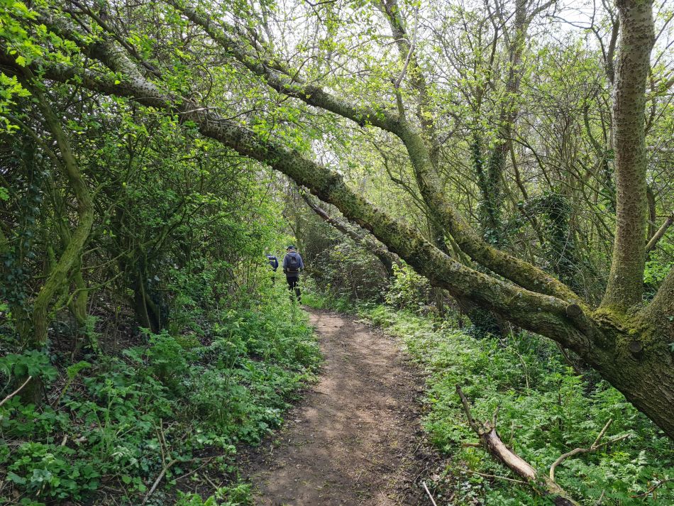 2022-04-15 04 Ringsfield and Weston.jpg