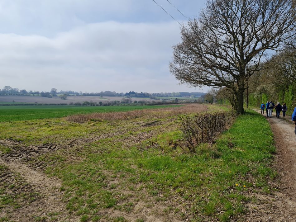 2022-04-15 05 Ringsfield and Weston.jpg