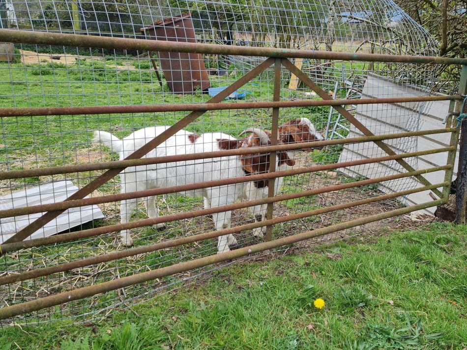 2022-04-15 07 Ringsfield and Weston.jpg