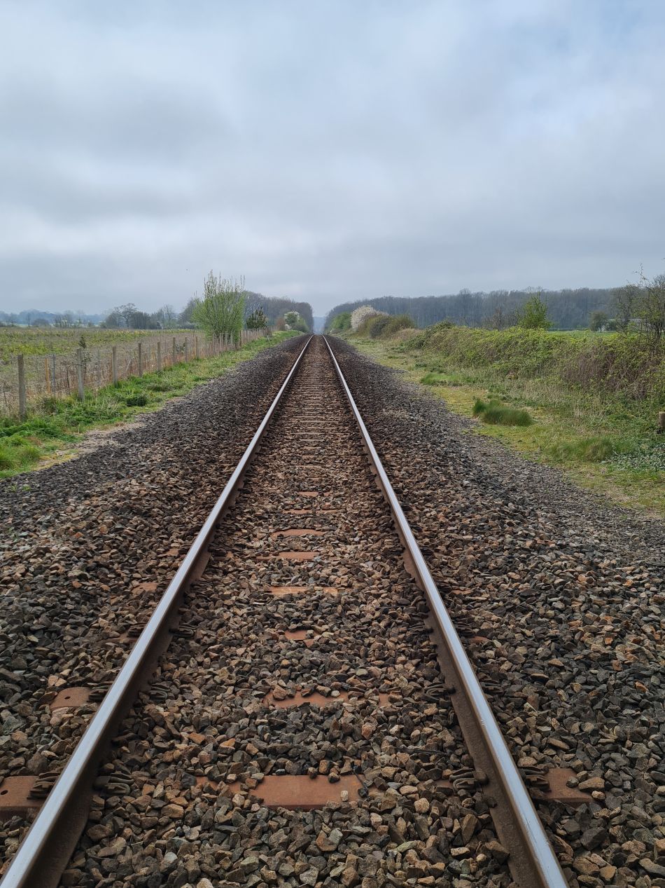 2022-04-15 17 Ringsfield and Weston.jpg