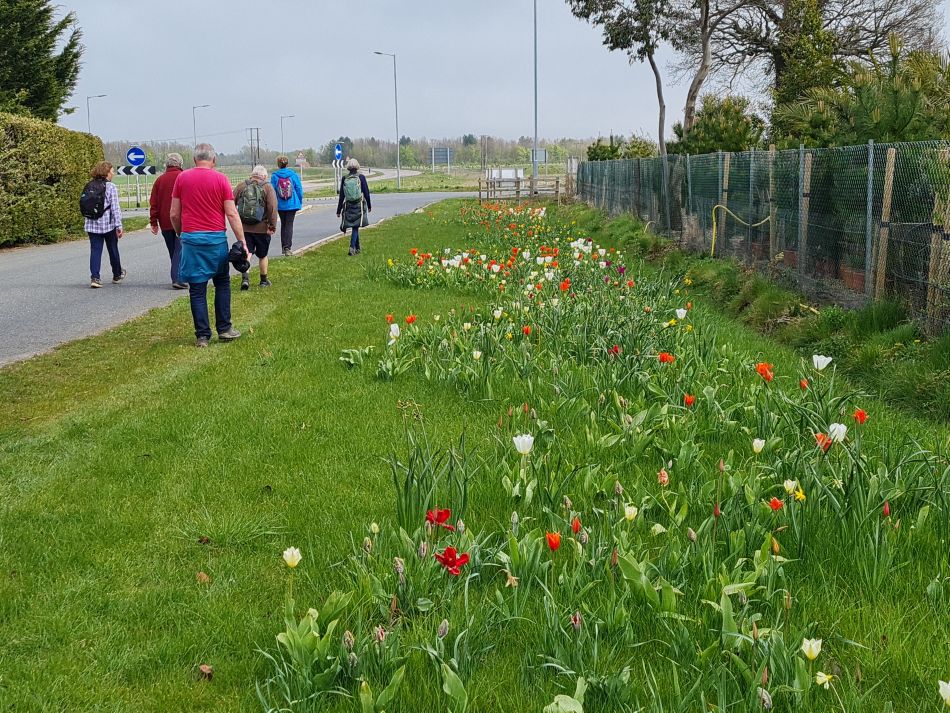 2022-04-15 18 Ringsfield and Weston.jpg