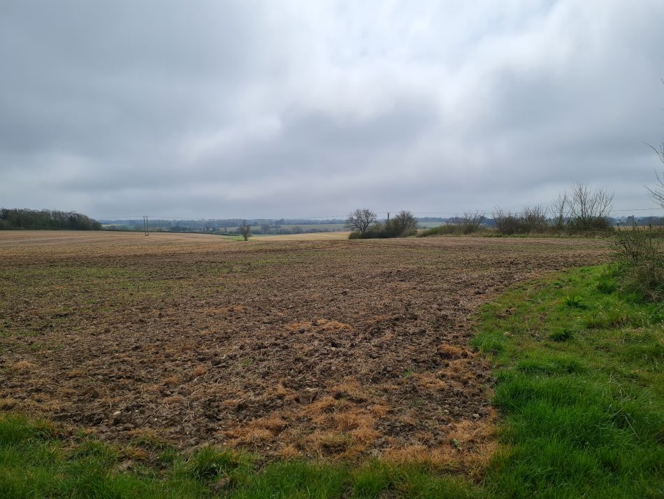 2022-04-15 20 Ringsfield and Weston.jpg