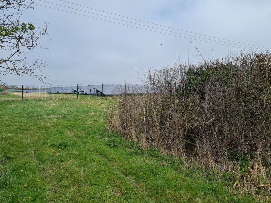 2022-04-15 21 Ringsfield and Weston.jpg