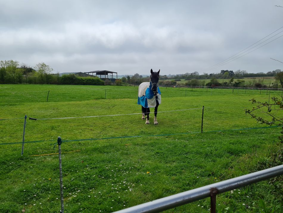 2022-04-15 22 Ringsfield and Weston.jpg