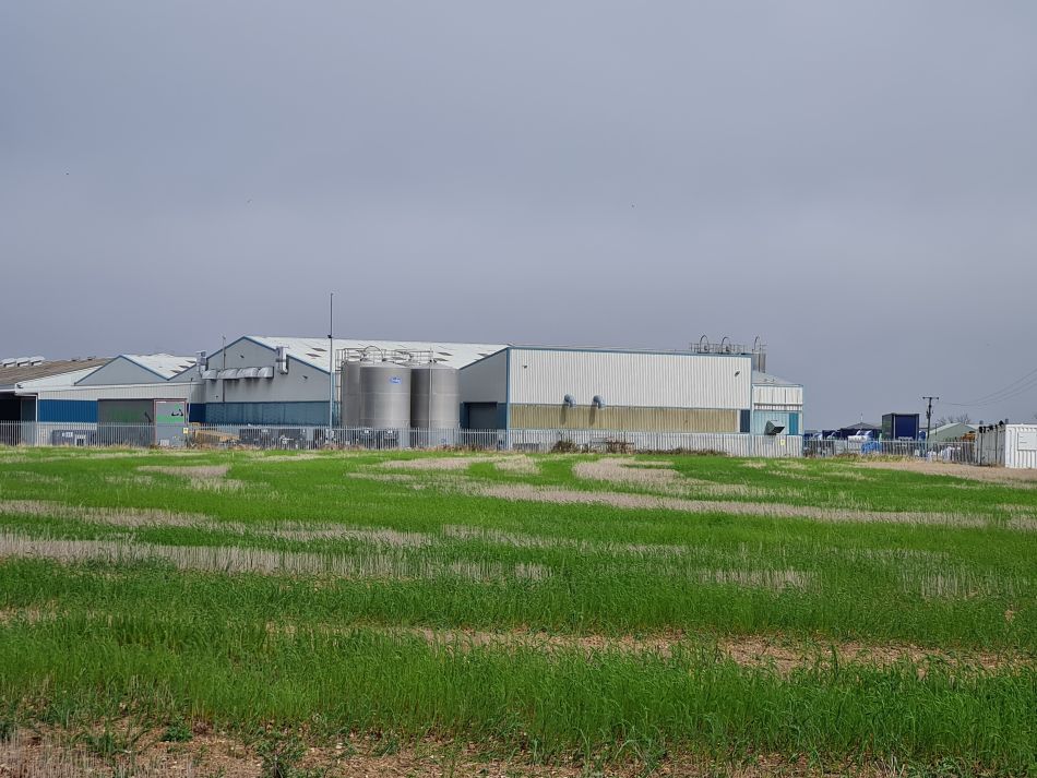 2022-04-15 24 Ringsfield and Weston.jpg