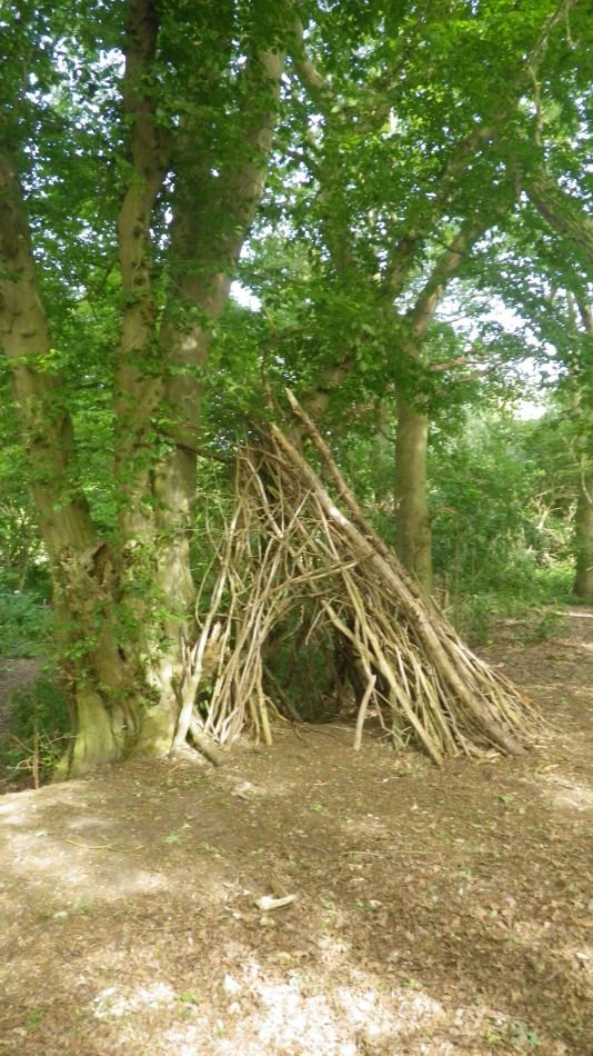 2020-05-26 08 Thorndon and Braiseworth.jpg