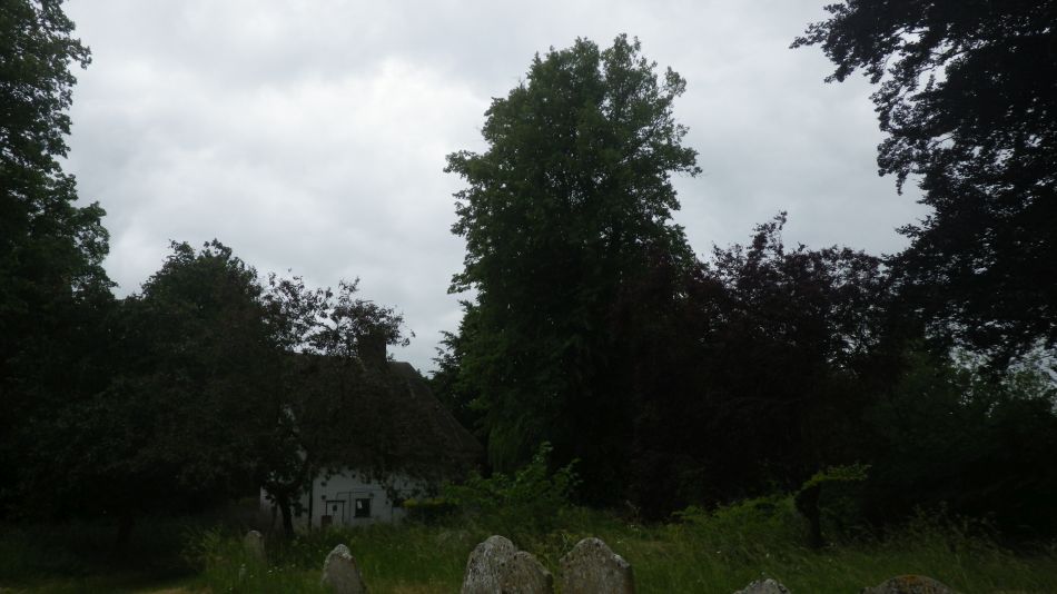 2020-06-04 06 Thorndon and Wetheringset.jpg