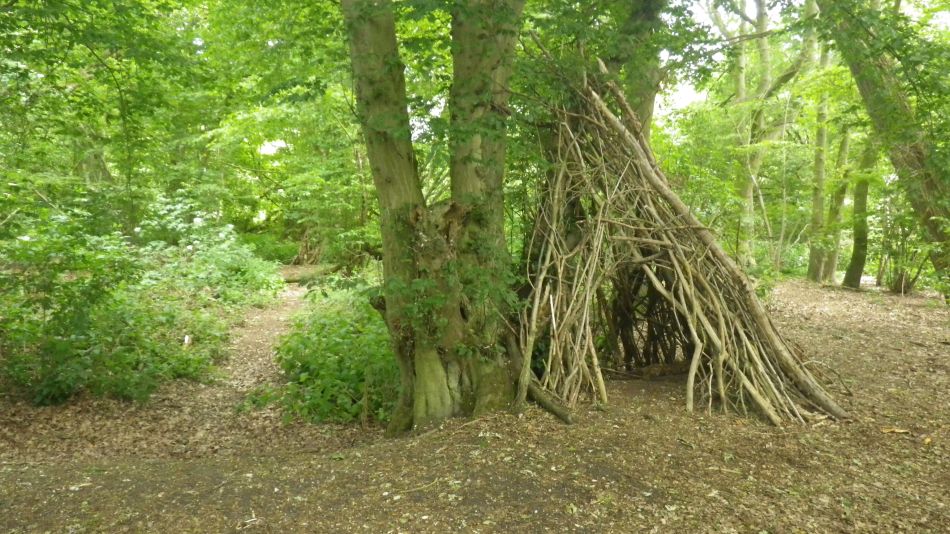 2020-06-08 01 Thorndon Occold Dublin Rishangles.jpg