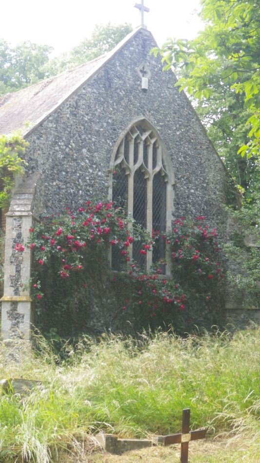 2020-06-08 14 Thorndon Occold Dublin Rishangles.jpg