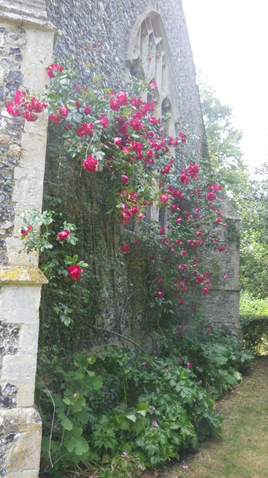 2020-06-08 15 Thorndon Occold Dublin Rishangles.jpg