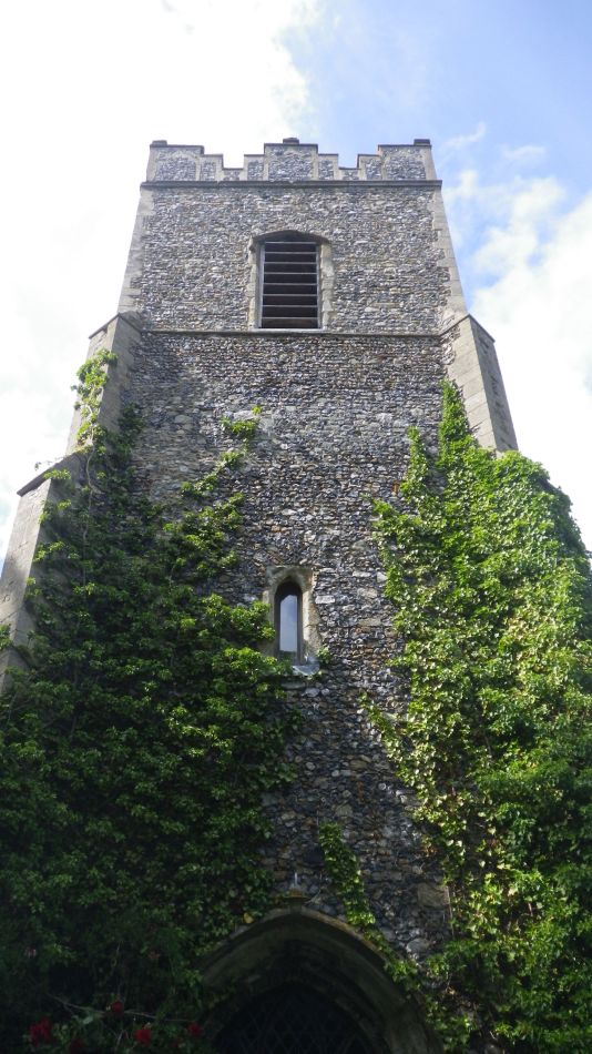 2020-06-08 17 Thorndon Occold Dublin Rishangles.jpg