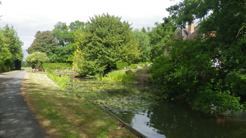 2020-06-08 19 Thorndon Occold Dublin Rishangles.jpg