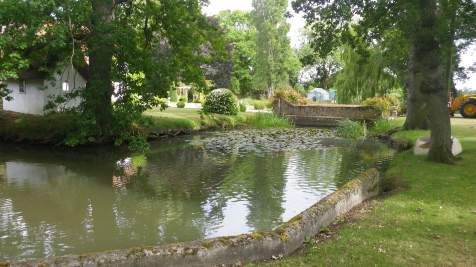 2020-06-08 20 Thorndon Occold Dublin Rishangles.jpg