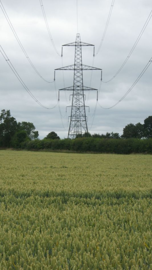 2020-07-04 03 Thorndon Wickham Skeith.jpg