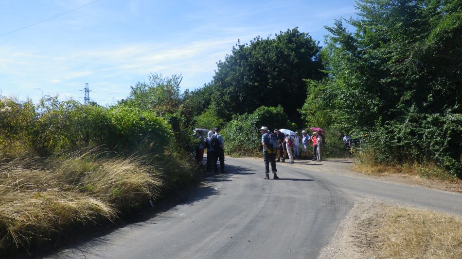 2018-08-02 01 Thurlton.jpg