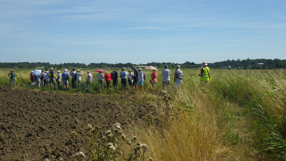 2018-08-02 02 Thurlton.jpg