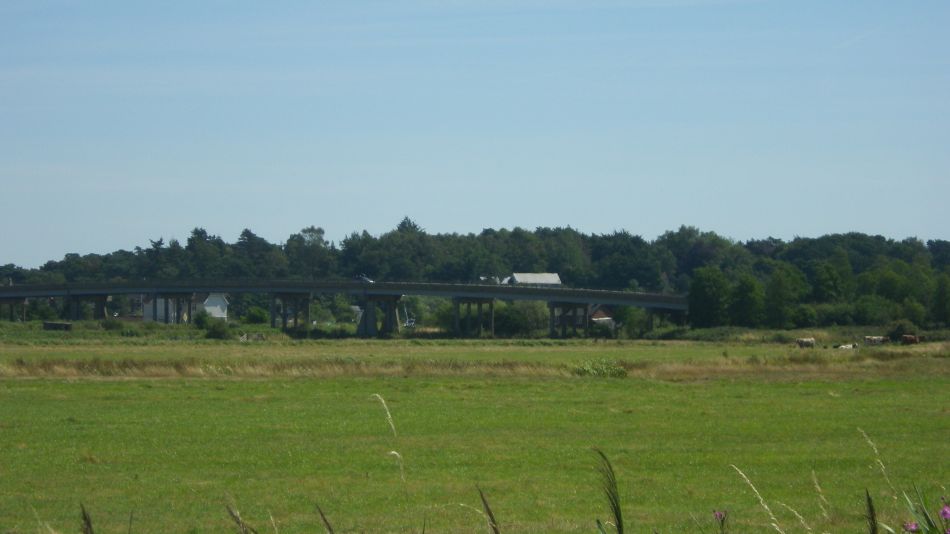 2018-08-02 03 Thurlton.jpg