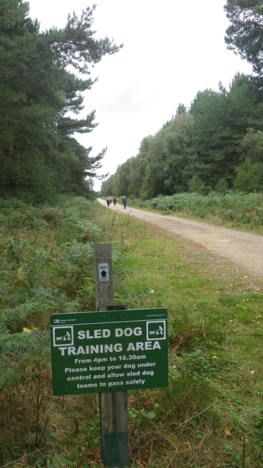 2020-09-03 07 Sandlings 6 - Butley.jpg