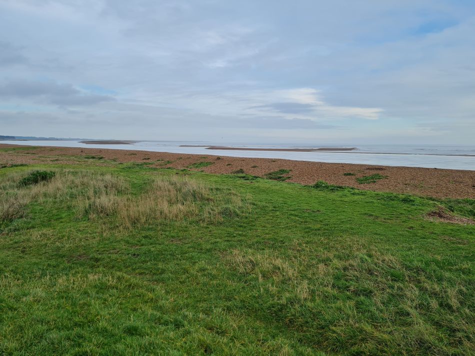 2020-10-01 06 Shingle Street.jpg