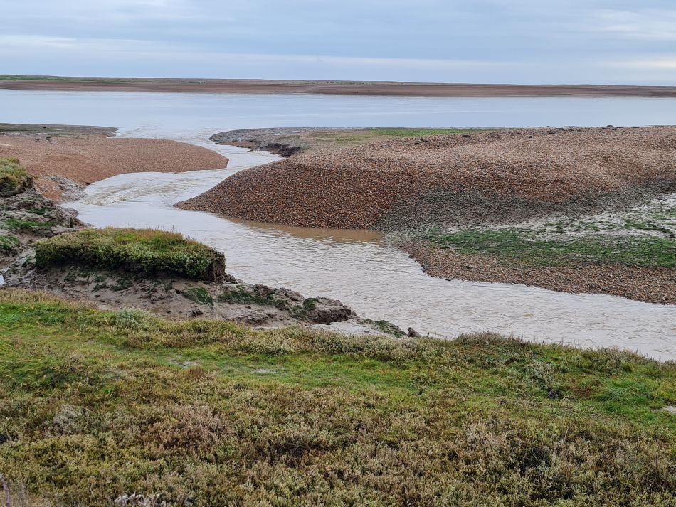 2020-10-01 09 Shingle Street.jpg