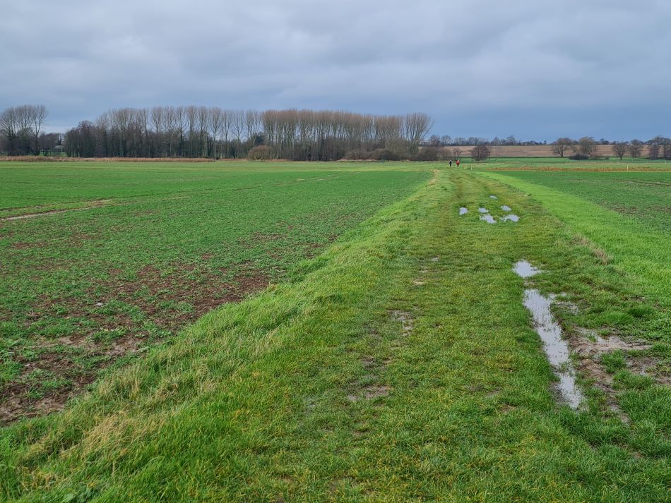 2020-10-01 10 Shingle Street.jpg