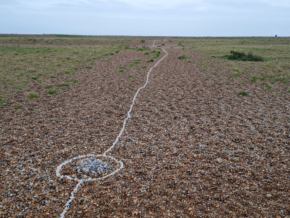 2020-10-01 16 Shingle Street.jpg