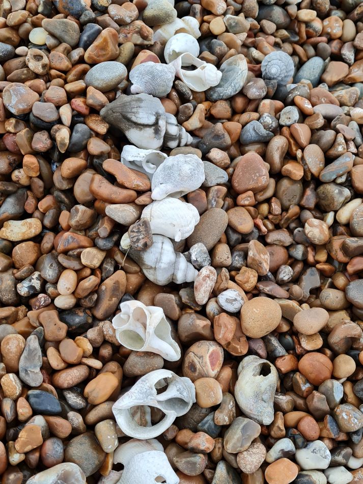 2020-10-01 17 Shingle Street.jpg