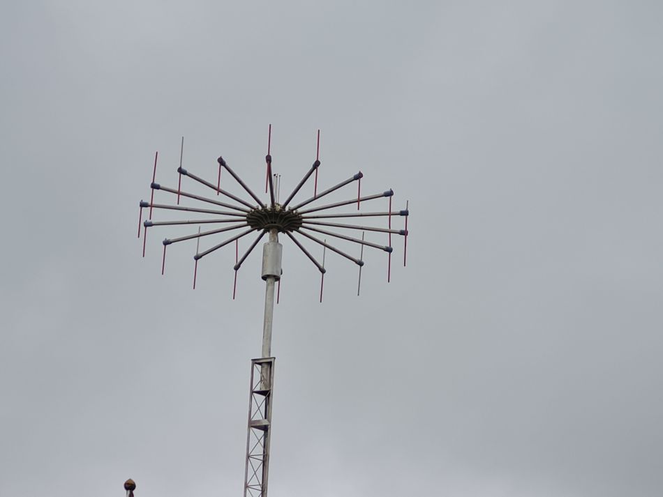 2020-10-01 20 Shingle Street.jpg