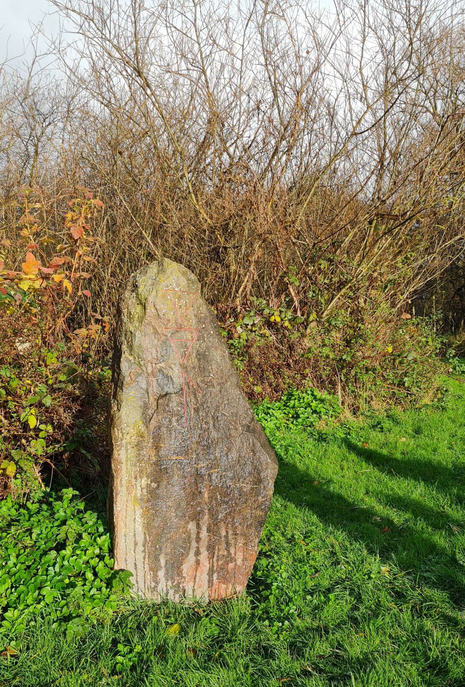 2021-12-02 06 Aldby.jpg