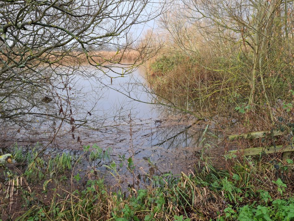 2021-12-02 07 Aldby.jpg