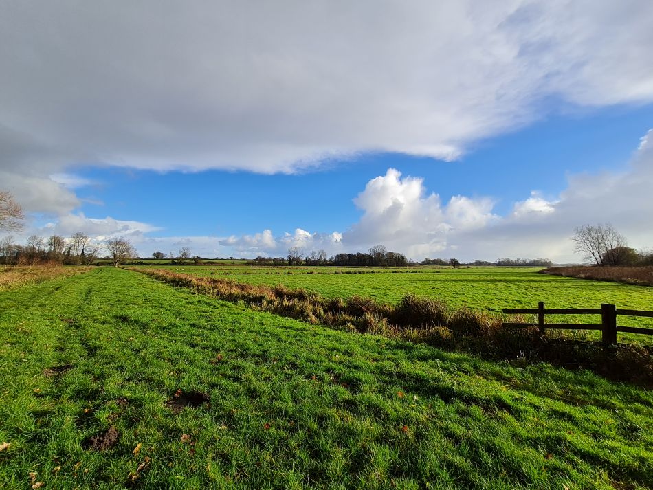 2021-12-02 09 Aldby.jpg