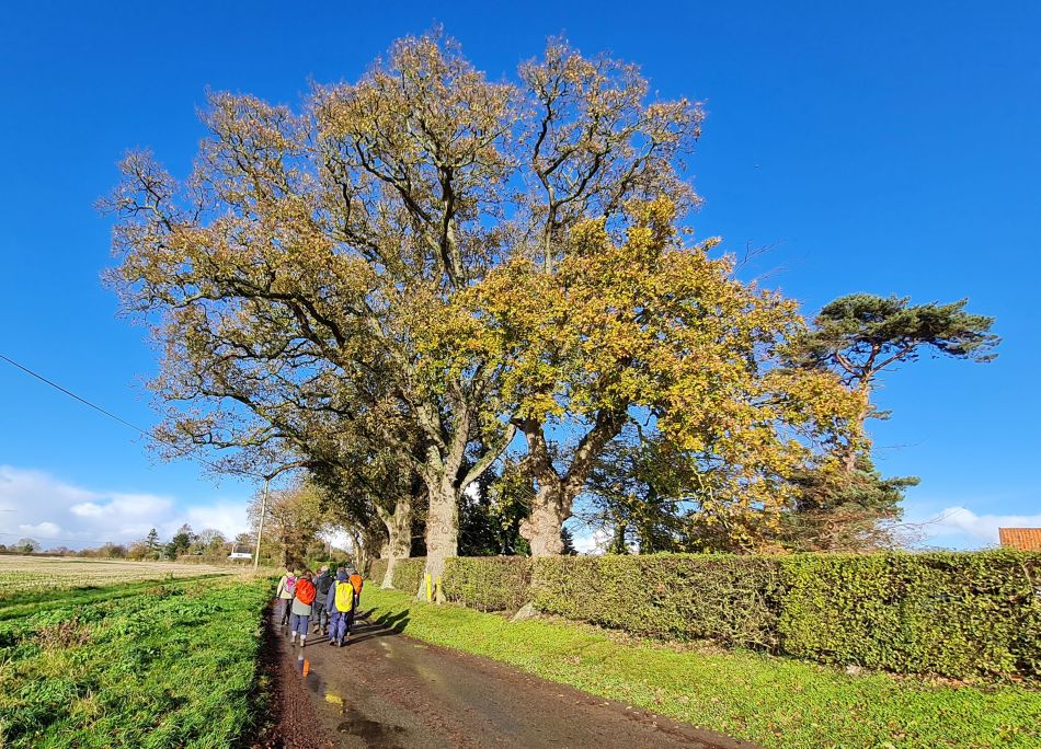 2021-12-02 10 Aldby.jpg