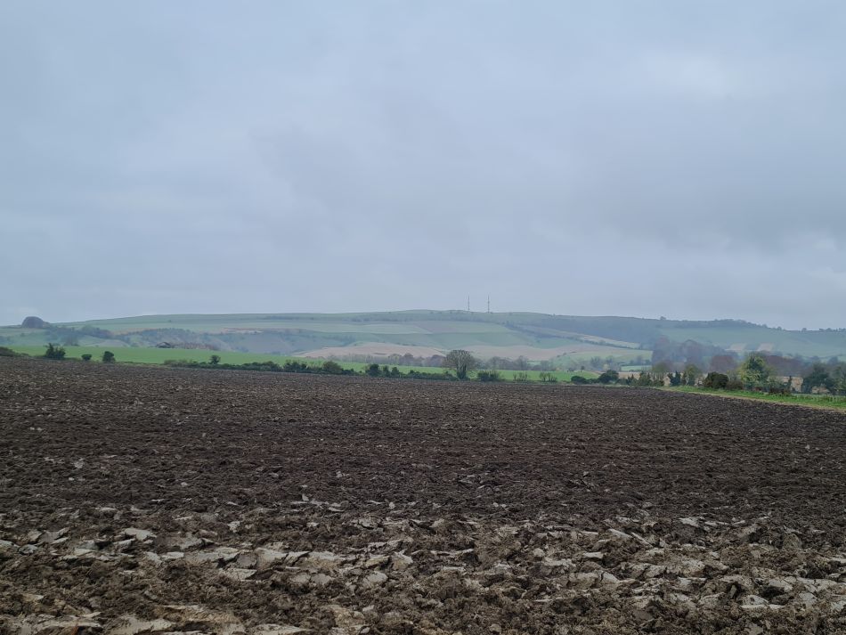 2021-11-20 09 Calstone Down.jpg