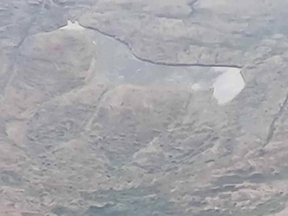 2021-11-20 15 Calstone Down.jpg