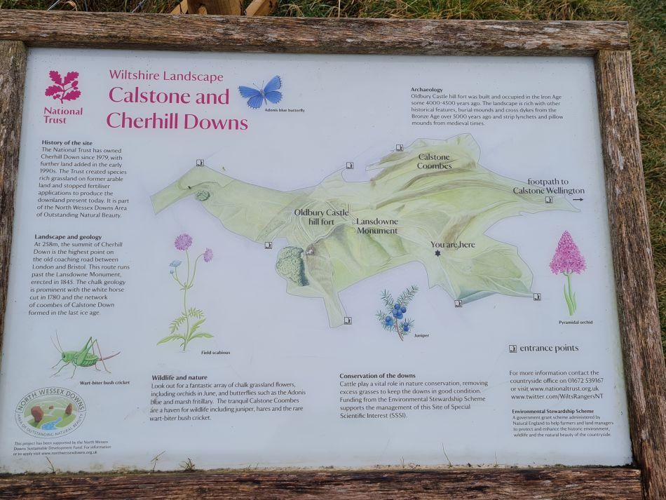 2021-11-20 16 Calstone Down.jpg