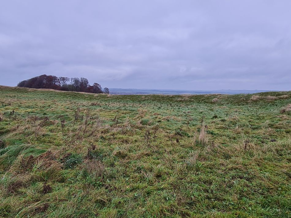 2021-11-20 21 Calstone Down.jpg