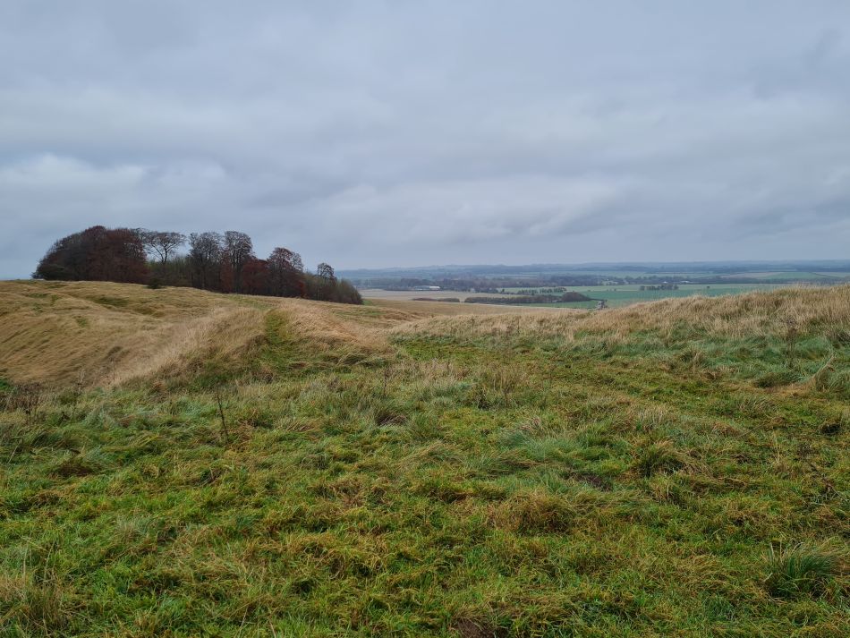 2021-11-20 23 Calstone Down.jpg