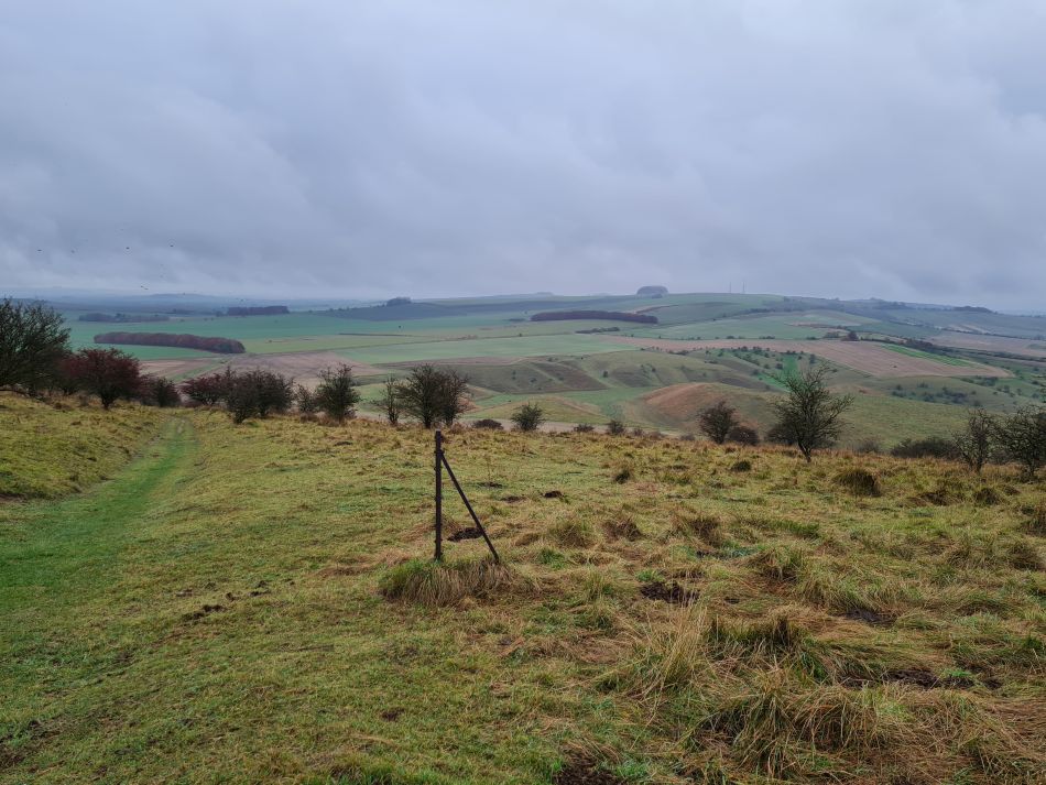 2021-11-20 25 Calstone Down.jpg